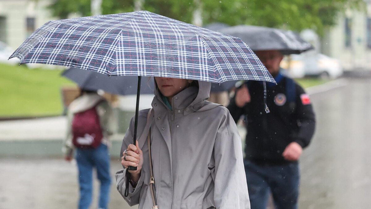    Фото: Belkin Alexey/globallookpress.com