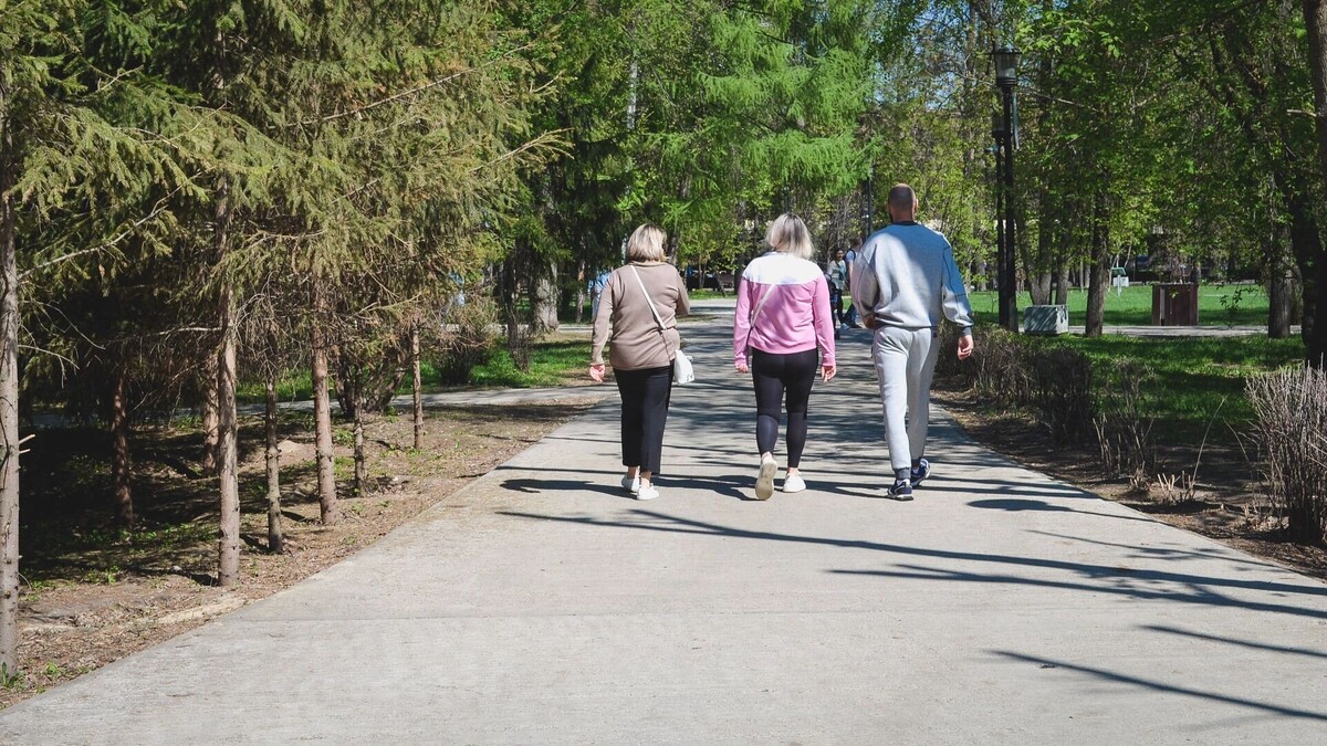     Источник: 1MI