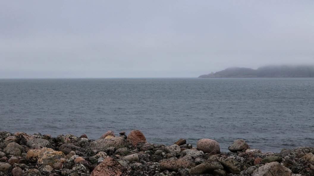    Фото: Maksim Konstantinov/Global Look Press