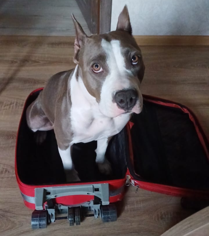 Ну, поехали уже!