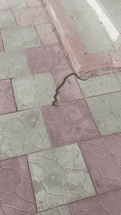 Охрана не дремлет.