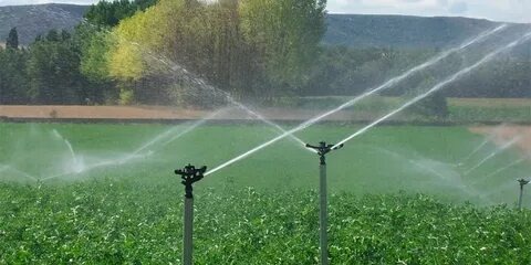 спринклеры