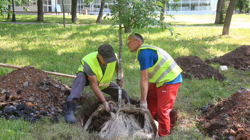 Фото: Пресс-служба администрации Ижевска