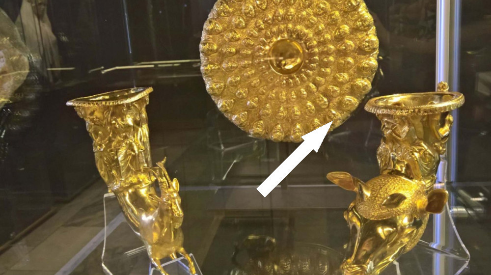    Тайна золотого руна наконец раскрыта ученые в шоке