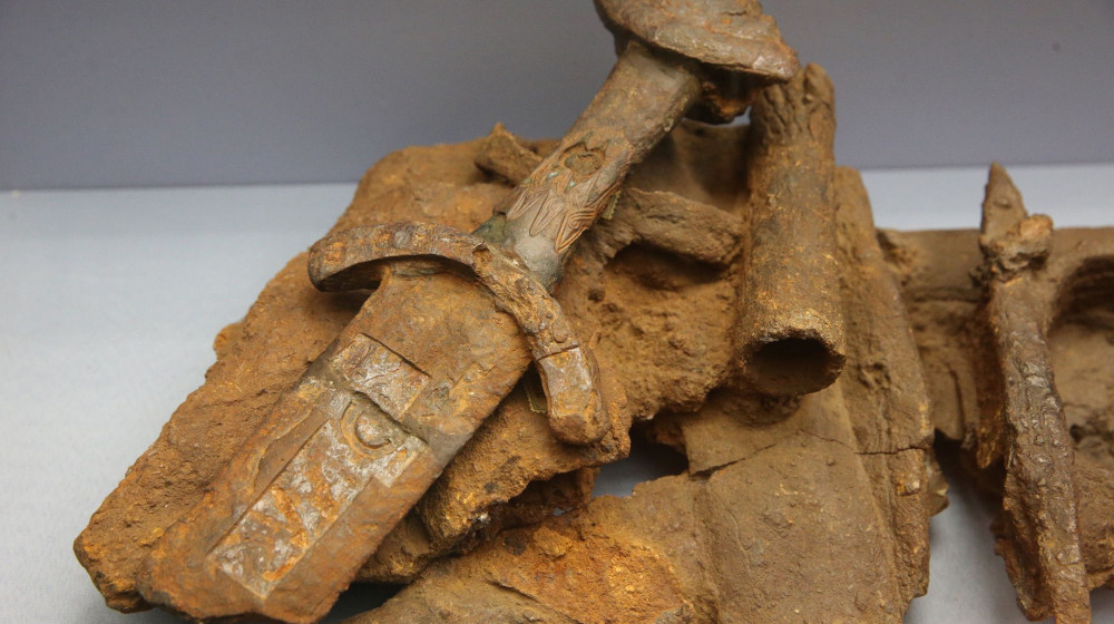    Тайна золотого руна наконец раскрыта ученые в шоке