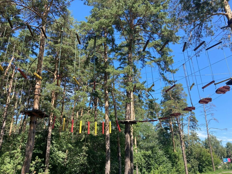    Веревочный парк "Джунгли". Источник: altai-krai.sledcom.ru