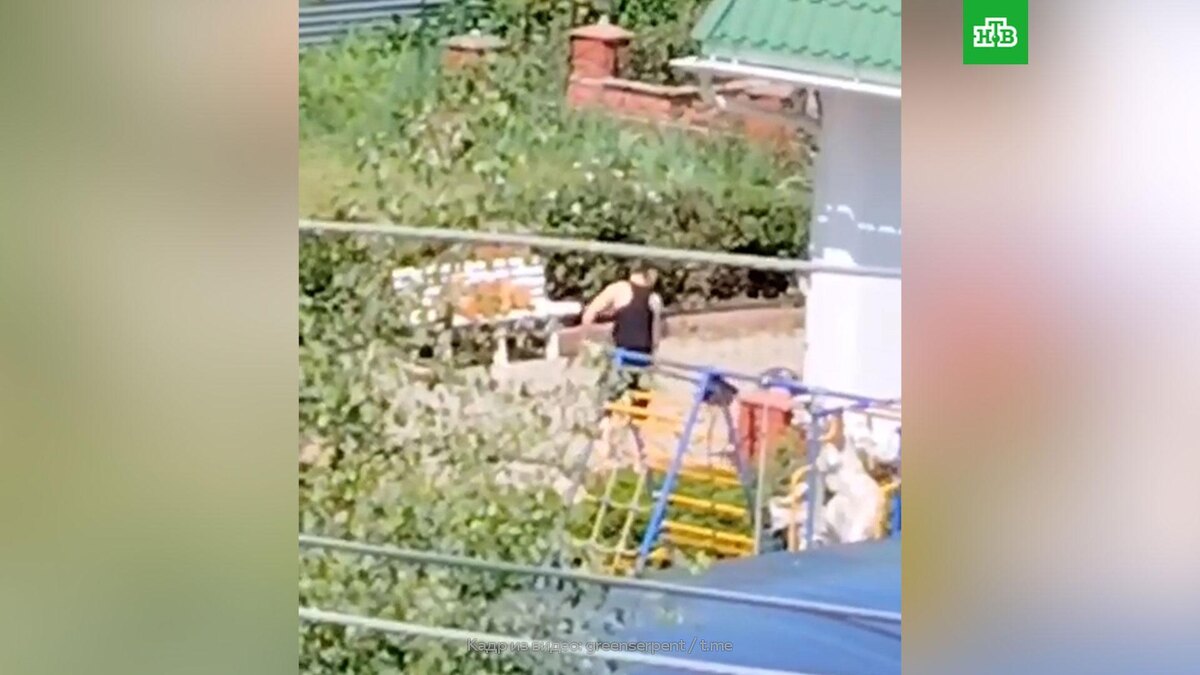      10-месячный    тигренок живет рядом с тремя детьми и подвергается издевательствам