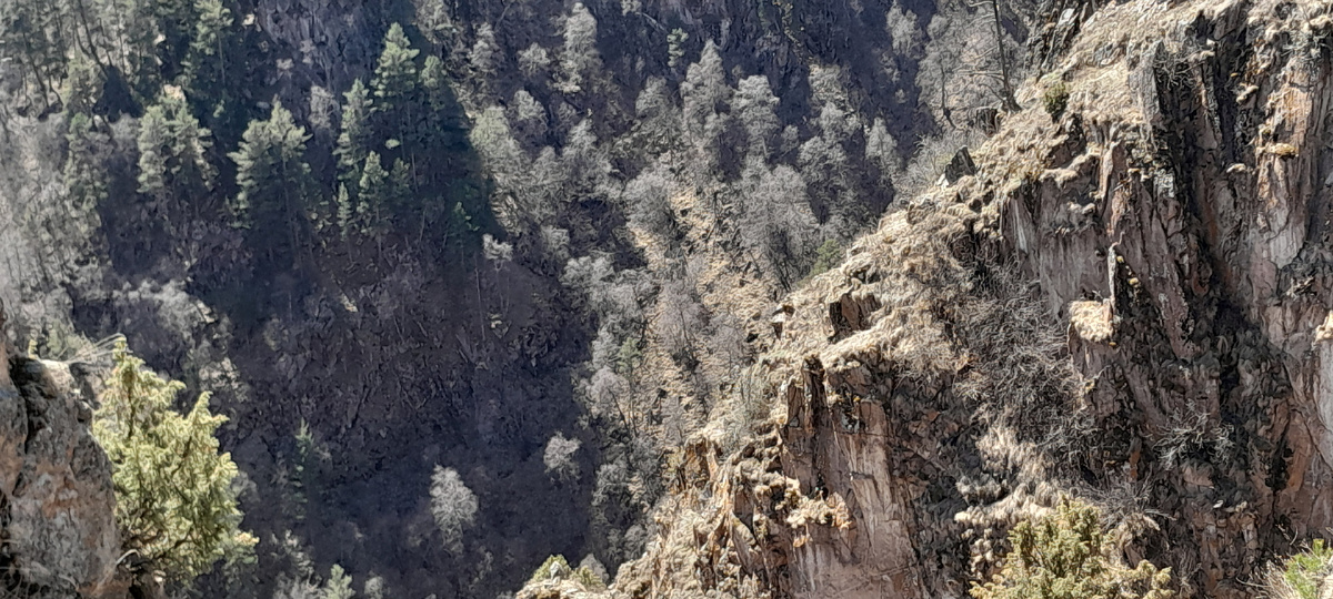 фото автора скалы