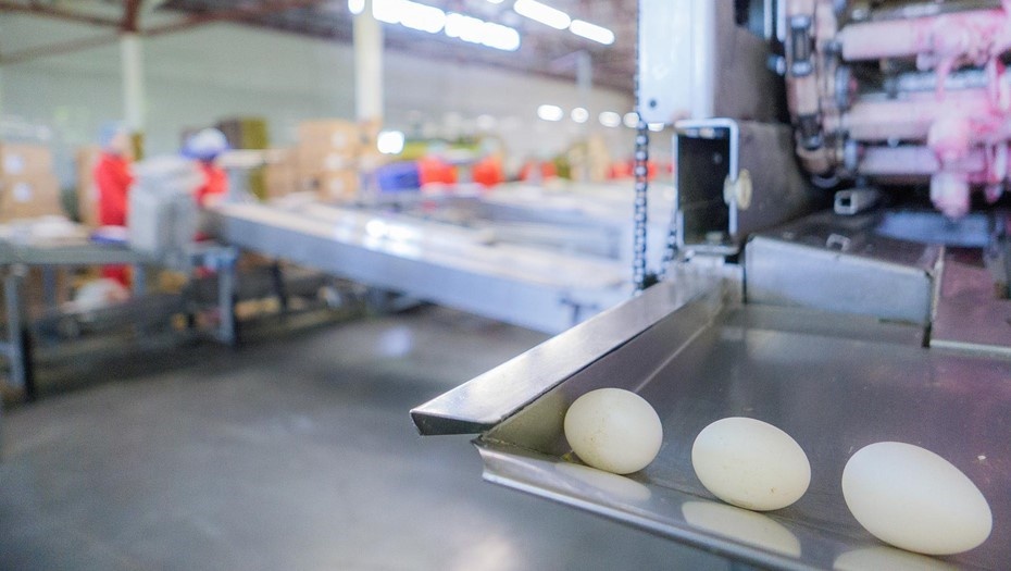    Автор фото: Беликов Валентин