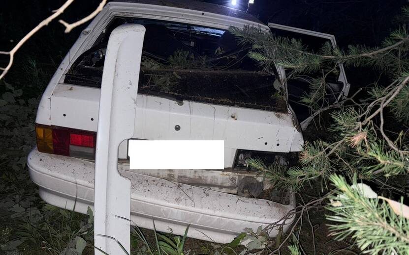    Водитель ВАЗа уснул за рулем и вылетел с трассы под Ижевском