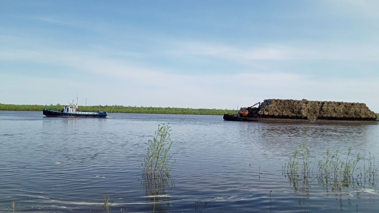    Фото: Аграрный центр Томской области