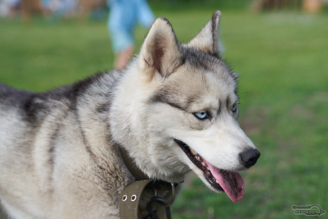    Фото: Лидия Аникина © ИА «Уральский меридиан»