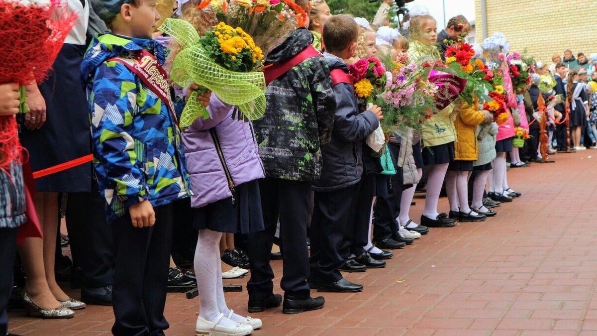     Источник: 1MI