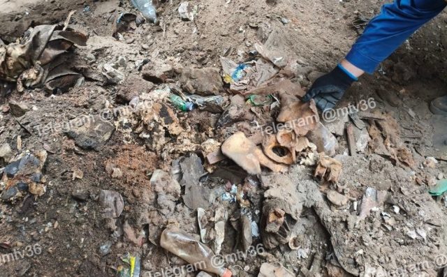     Фото: https://t.me/mtv36/61902