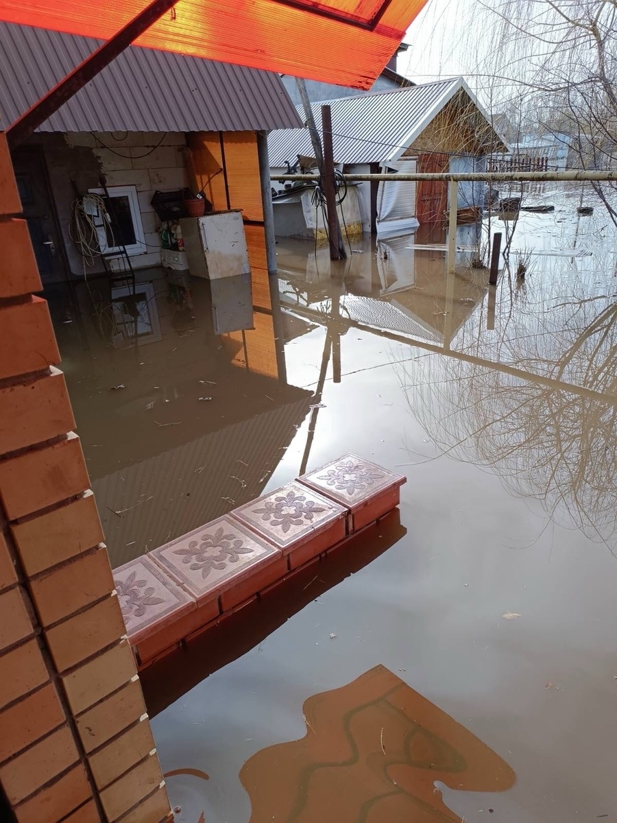    Фото: Анастасия Федосеева