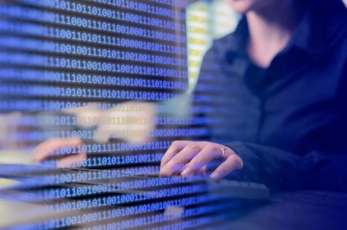    Новые клубы программистов появятся на территории Новосибирской области