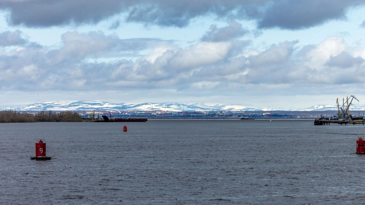    Фото: Федор Воронов / «Ямал-Медиа»