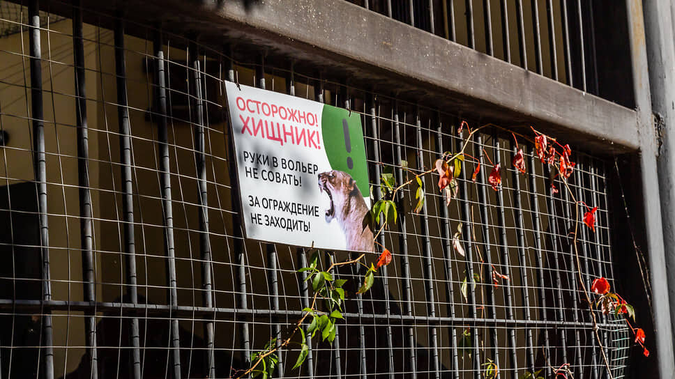 В Нижнекамске запретят передвижные цирки и зоопарки с животными.📷Фото: Константин Франовский / Коммерсантъ