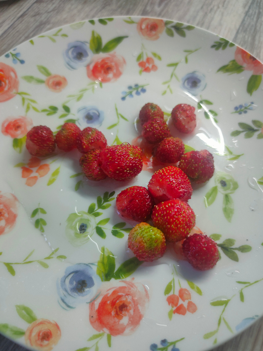 Клубника с нашей клумбы 