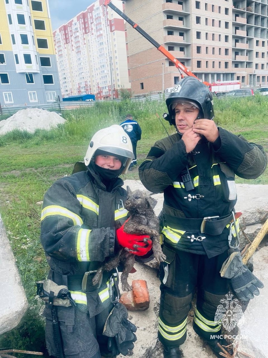 Фото: МЧС России по Курской области