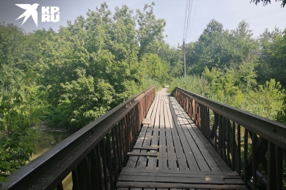 Рыбак вытащил на берег сумку и был шокирован, открыв ее. Фото: Артур Селимов. 