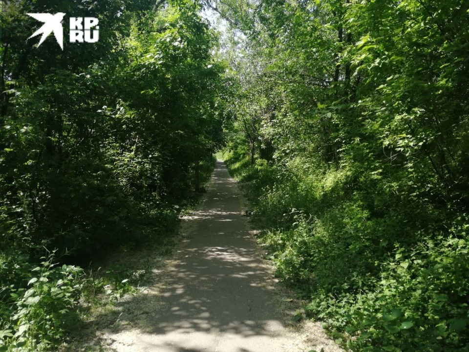 Местные жители поверить не могли, что недалеко от их домов произошло такое ЧП. Фото: Артур Селимов. 