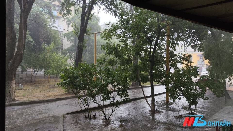    Фото: МТВ.ОНЛАЙН / Елизавета Денисова