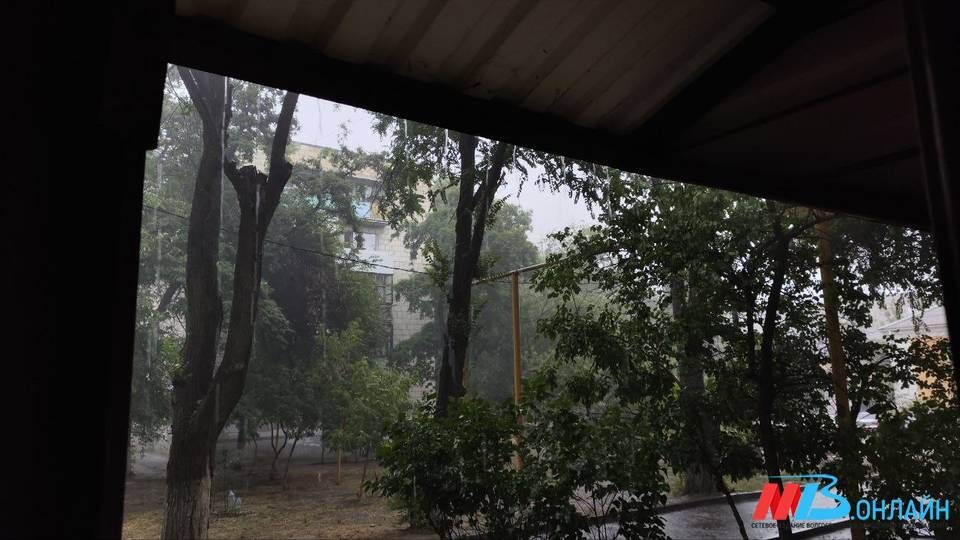    Фото: МТВ.ОНЛАЙН / Елизавета Денисова