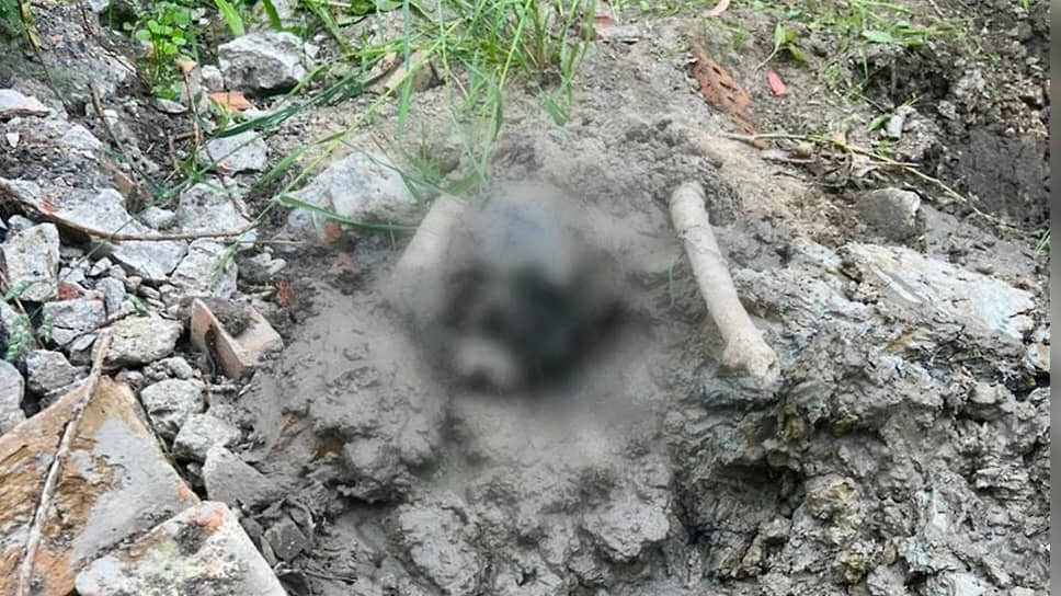 Человеческие останки, найденные на глубине двух метров у школы №420 в Колпино.📷Фото: Пресс-служба ГСУ СК РФ по Петербургу