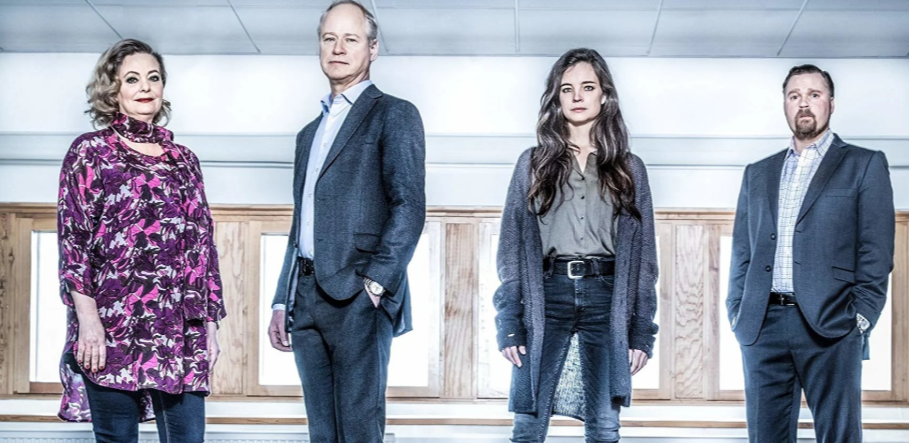 Обложка из сериала "Что спрятано в снегу"