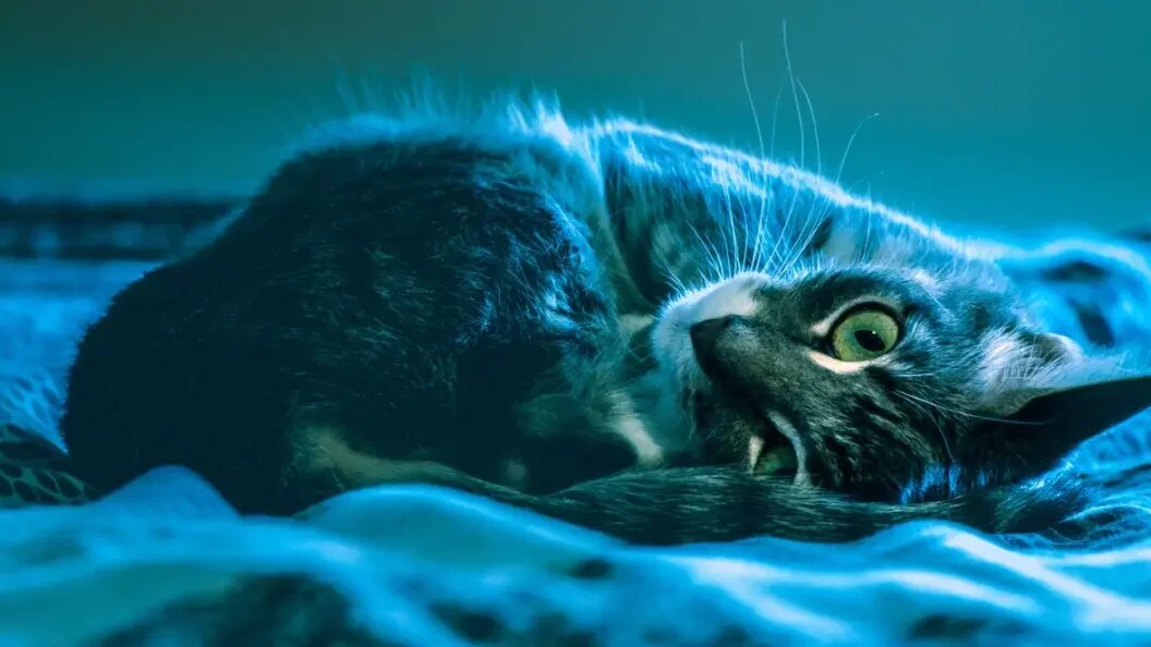    Фото: freepik.com