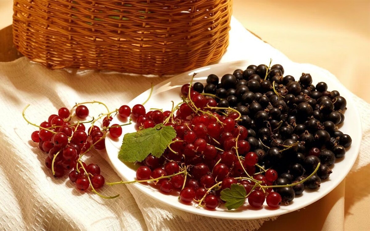 Фото unsplash.com