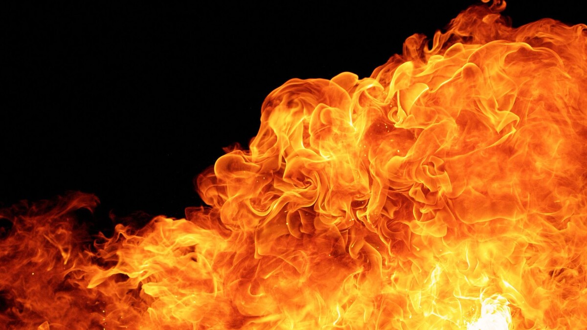    Фото: fluke samed / Shutterstock / Fotodom