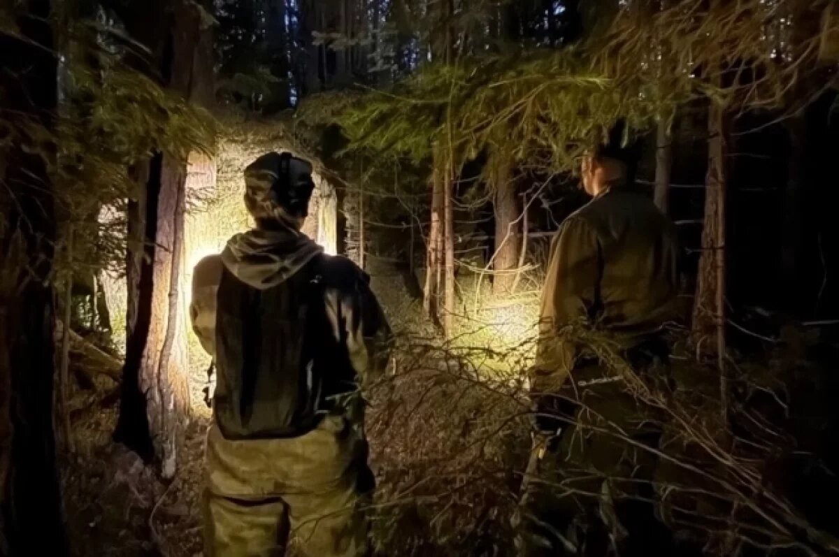    Нашли к утру.