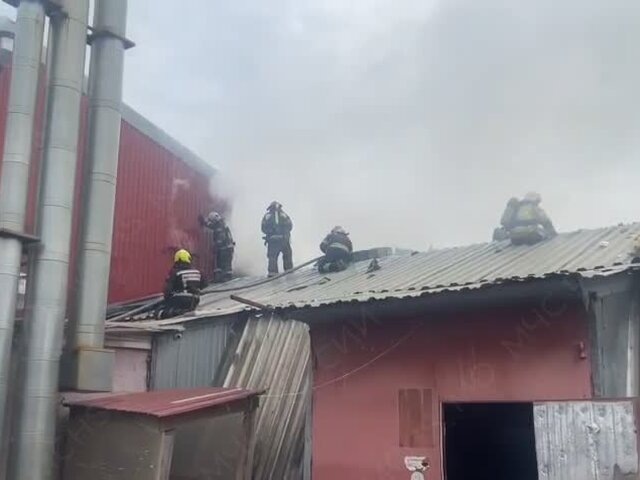    Фото: телеграм-канал "МЧС Московской области"