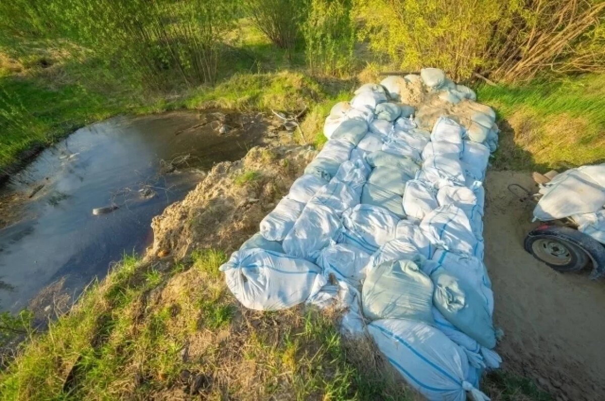    В районе Нижневартовска уровень воды в Оби 18 июня равен 929 см