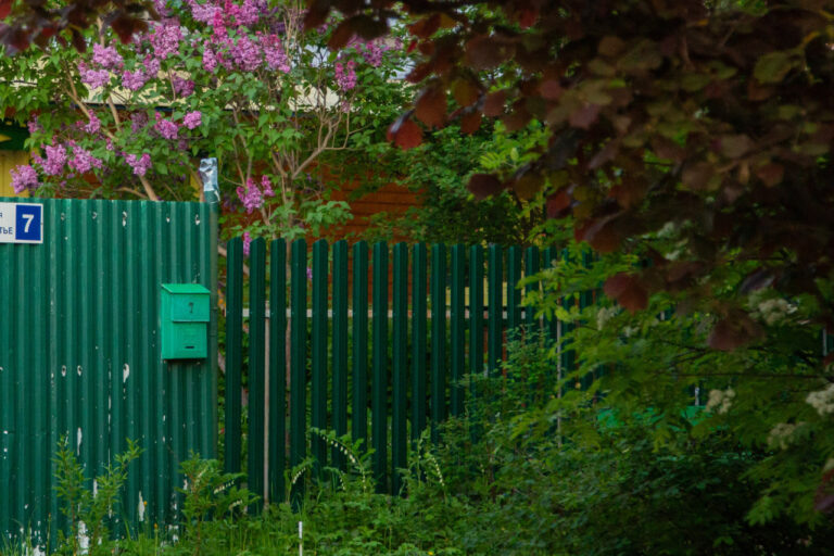    Фото: Общественная служба новостей Дмитрий Андреев