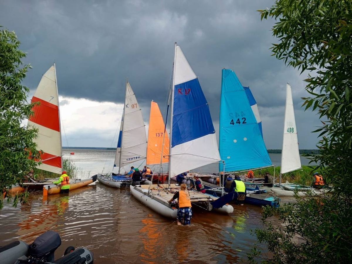Фото: Минспорт Курской области