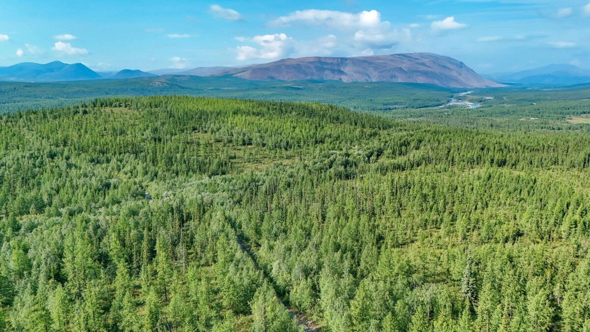    Ученые изучили, как изменение климата влияет на Полярный Урал и составили прогноз климатических метаморфоз до конца столетия. Фото: Андрей Ткачев / «Ямал-Медиа»