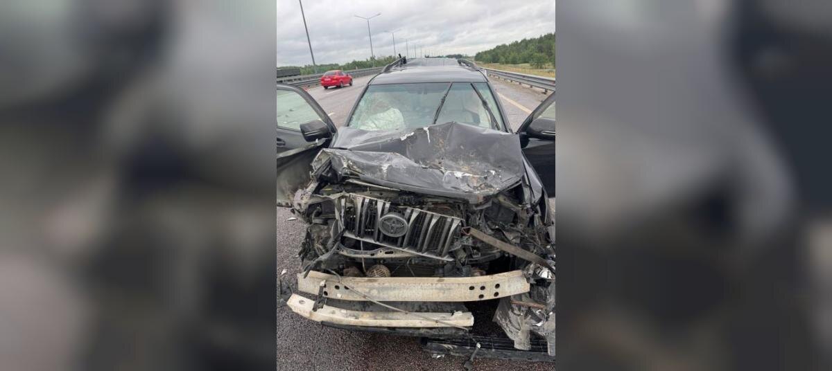    Фото: УМВД по Воронежской области