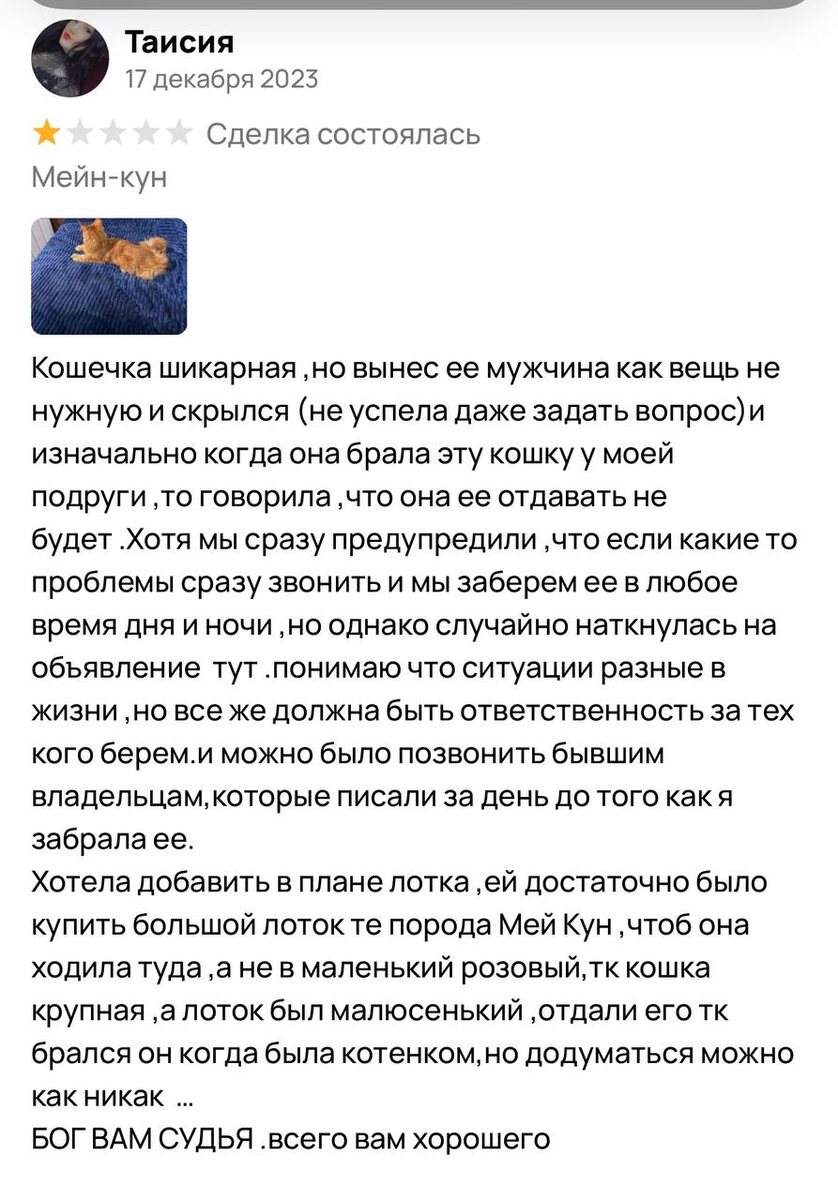 Наткнулась однажды на Авито, здесь речь о другой, незнакомой мне кошке, но смысл тот же - невежество хуже всего на свете💔