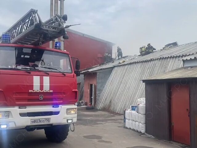    Фото: телеграм-канал "МЧС Московской области"