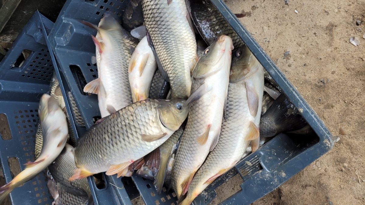   В Нижегородской области сняты ограничения на рыбную ловлю