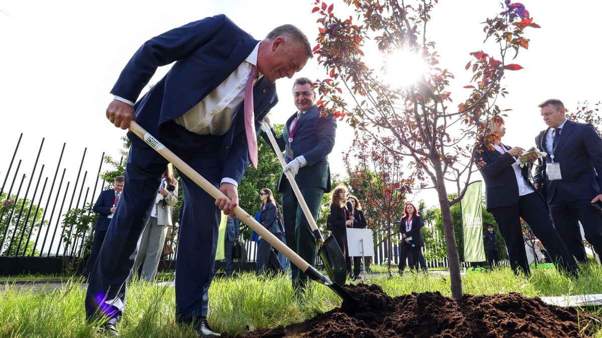     Источник: МАЕР