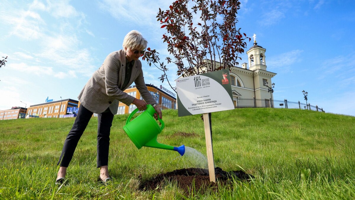     Источник: МАЕР