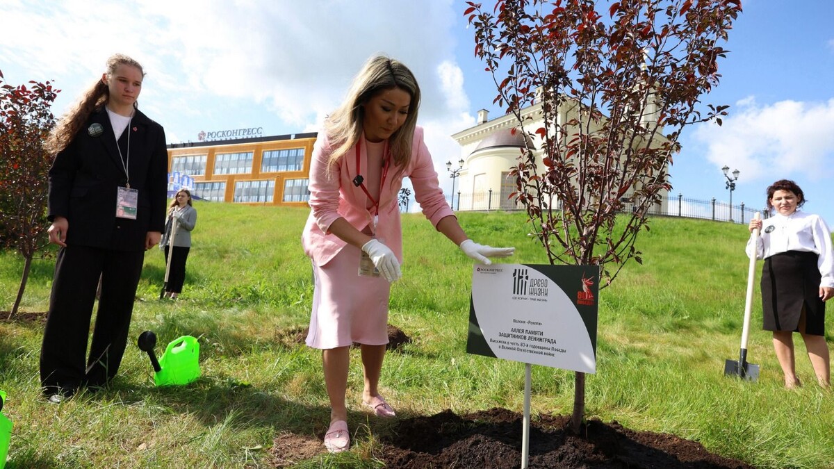     Источник: МАЕР