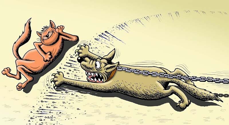 Изображение из интернета