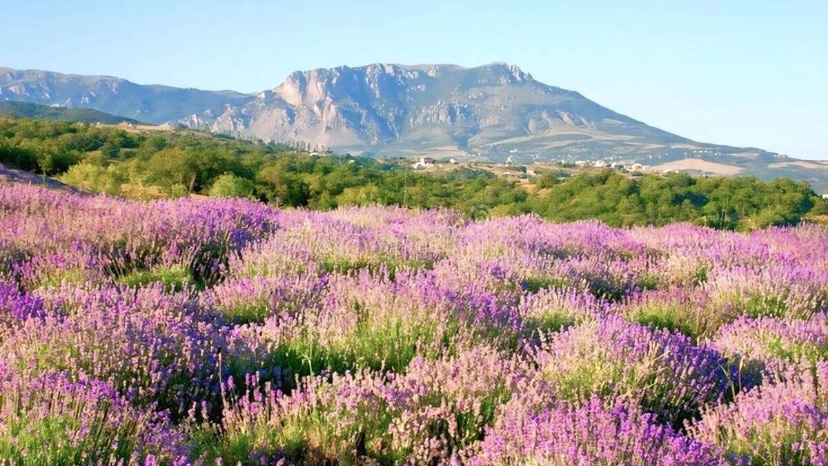     Источник: администрация Предгорного округа