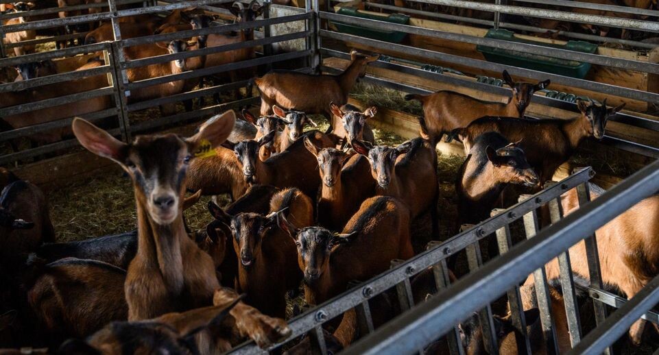    Медиасток.рф