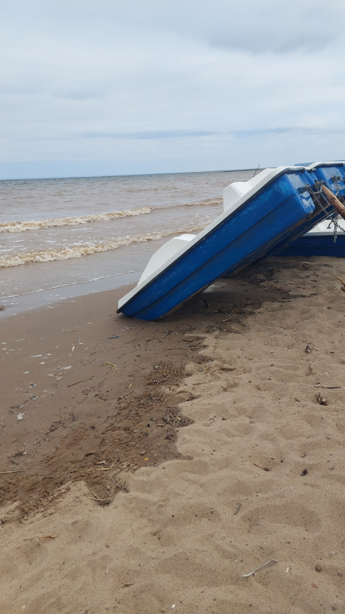 Фото автора 12.06.2025